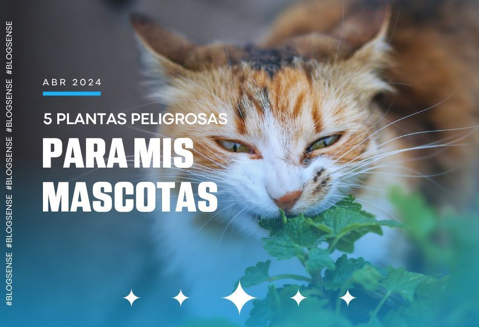 5 Plantas peligrosas para mis mascotas